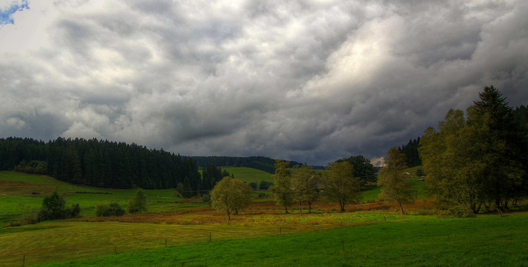 Herbstbeginn in der Natur