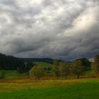 Herbstbeginn in der Natur