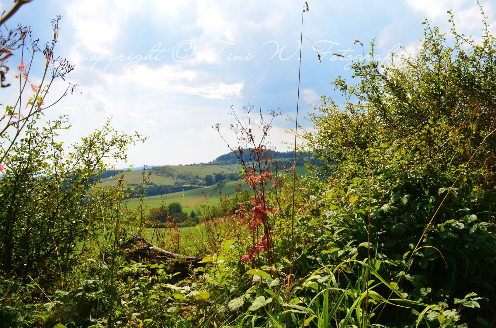 Herbstbeginn in der Rhön