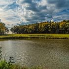 Herbstbeginn  in der Ried