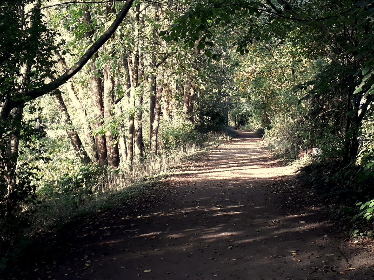 Herbstbeginn in NRW