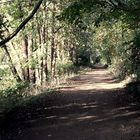 Herbstbeginn in NRW