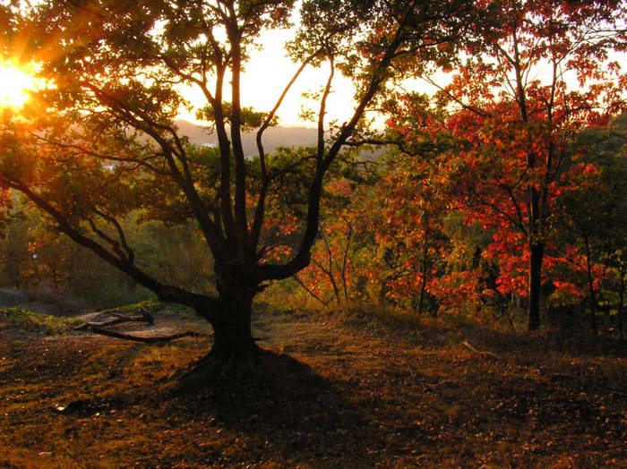 Herbstbeginn1