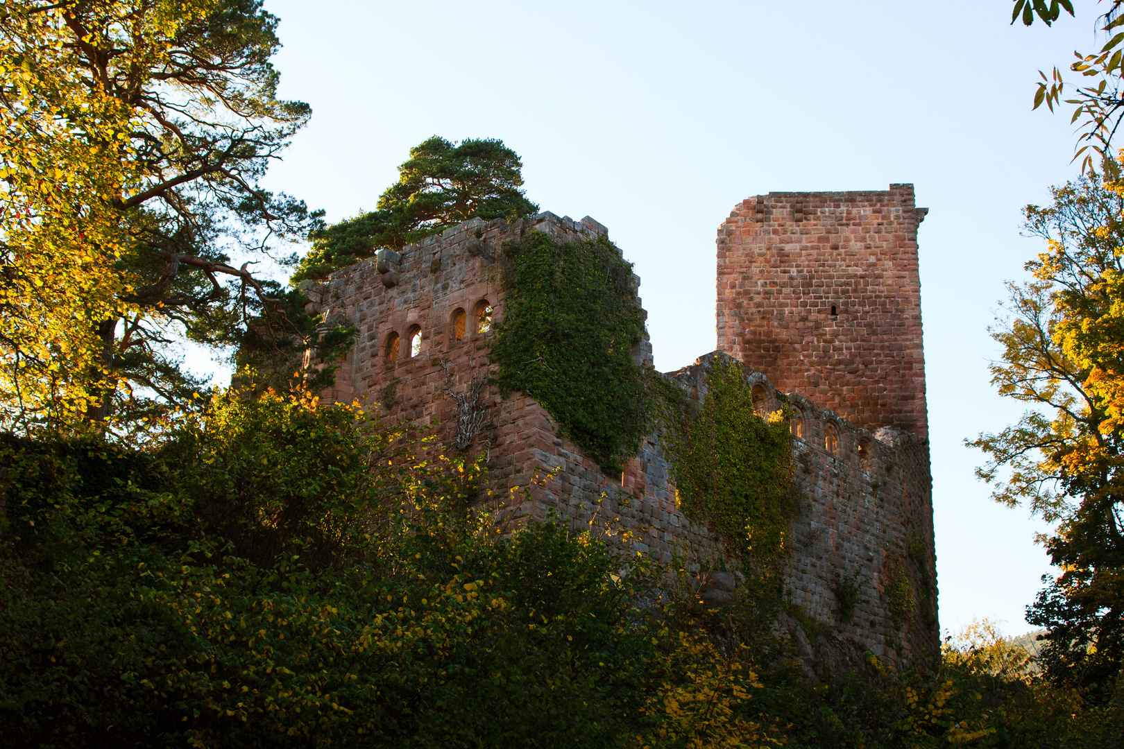 Herbstbeleuchtung