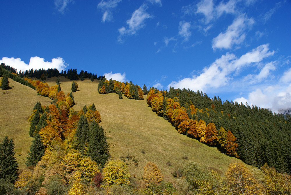 Herbstberge