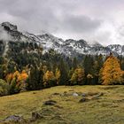 HERBSTBERGWALDLEUCHTEN