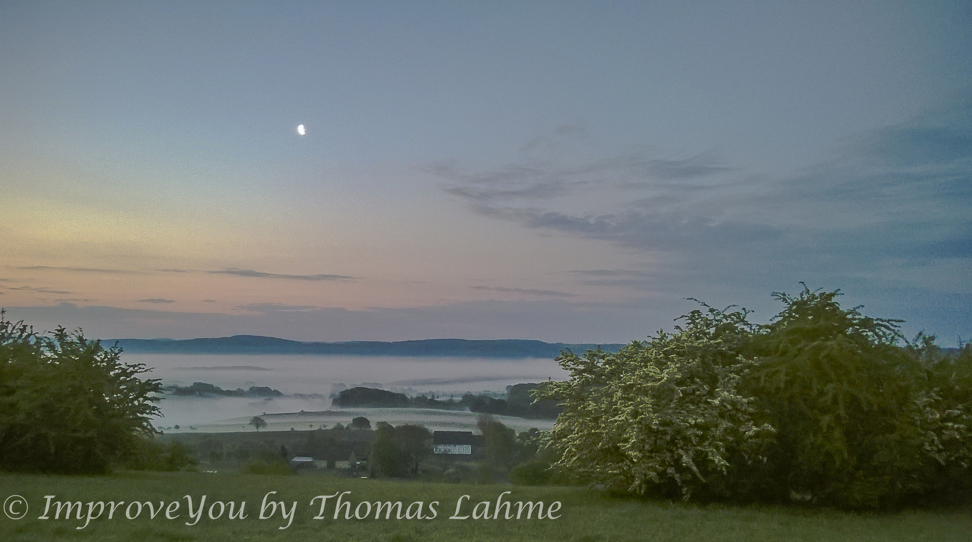 Herbstbetrachtung morgens