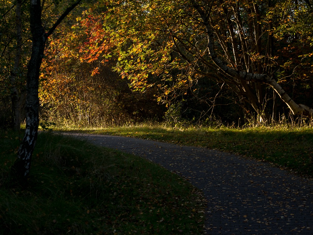 Herbstbiegung