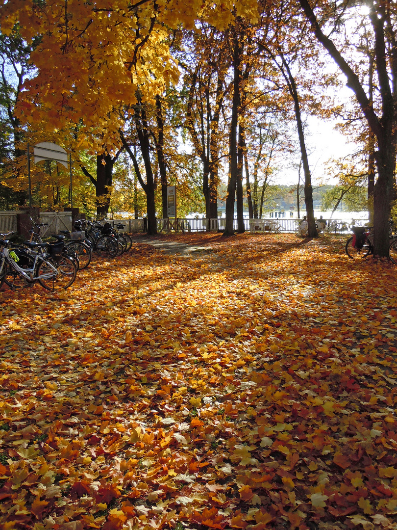 Herbstbild