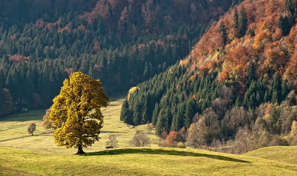 Herbstbild