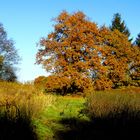 Herbstbild 1