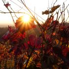 Herbstbild 1