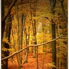 Herbstbild 1