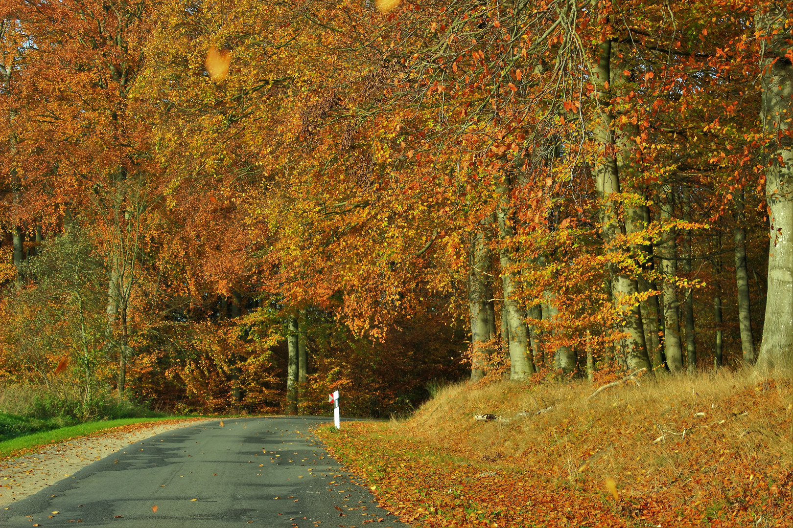 Herbstbild 2