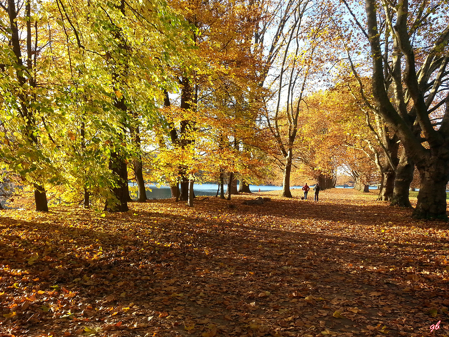 Herbstbild