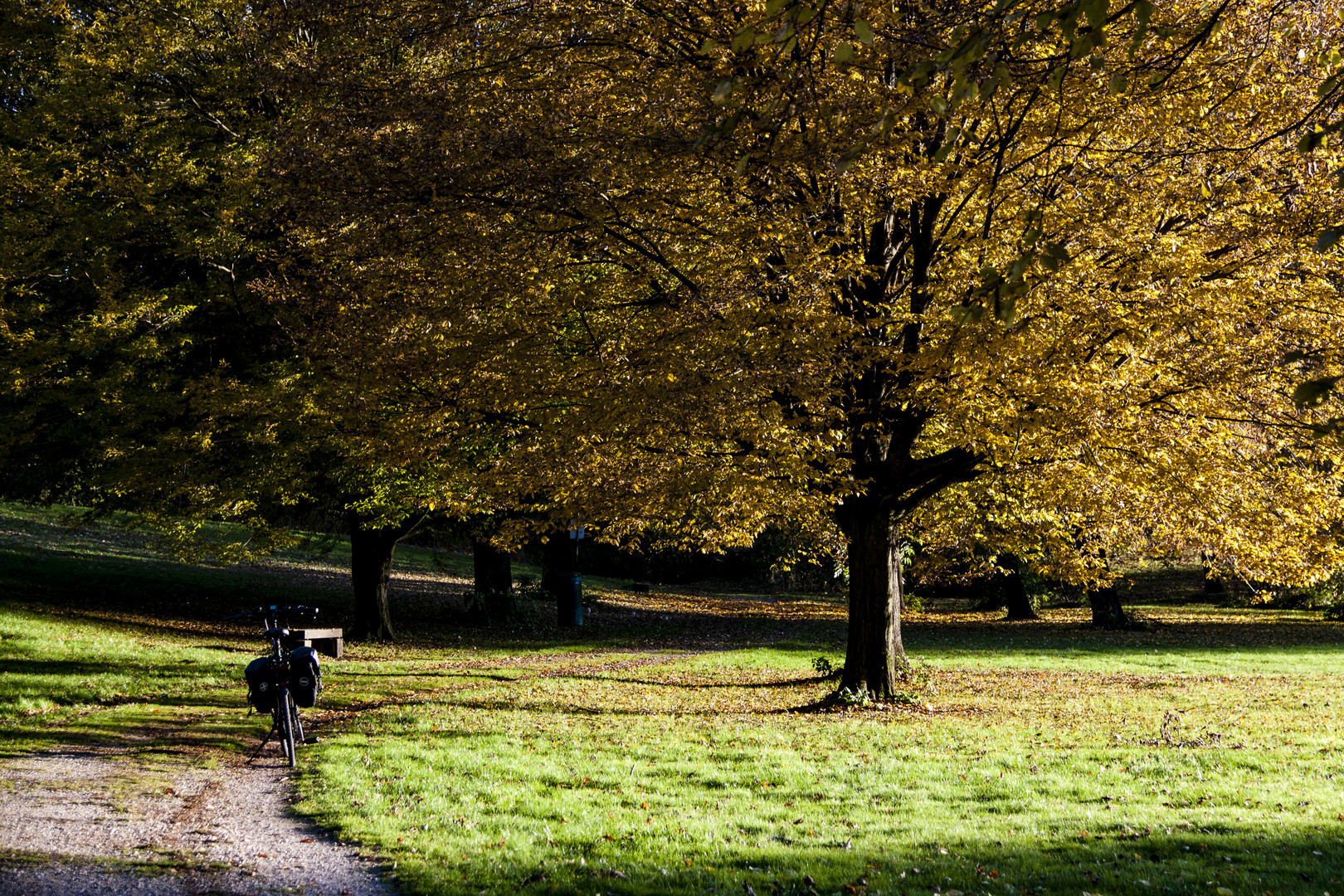 Herbstbild