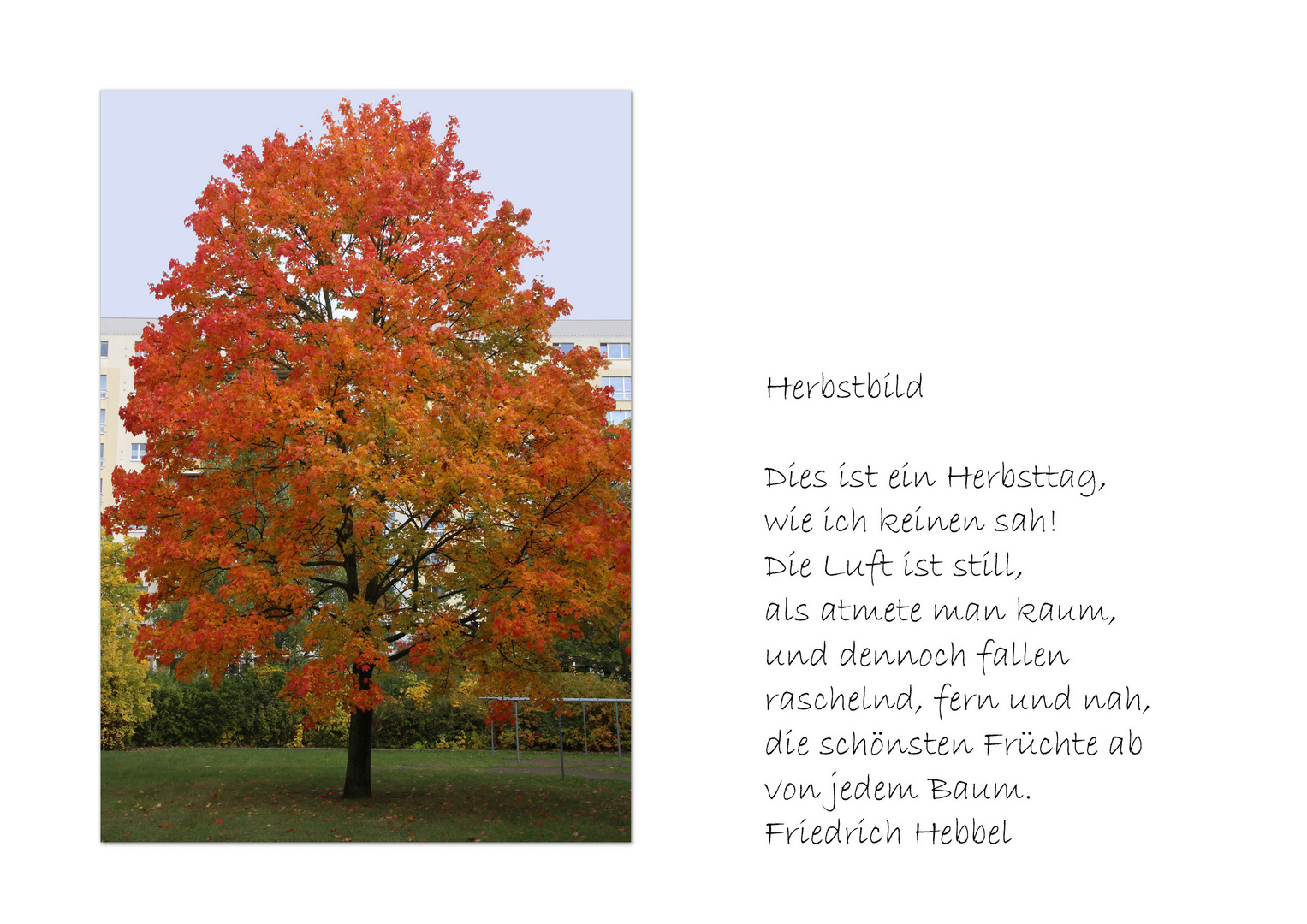 Herbstbild