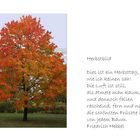 Herbstbild