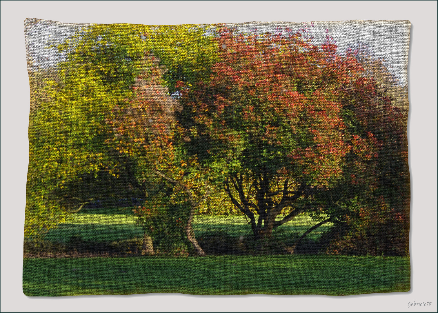 Herbstbild