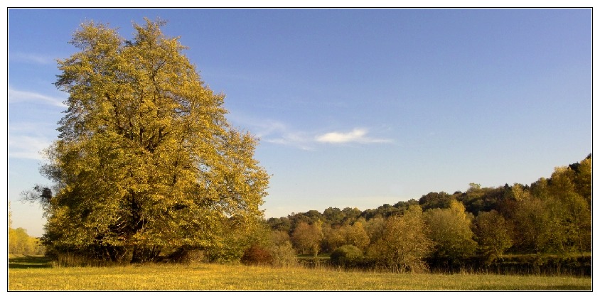 herbstbild