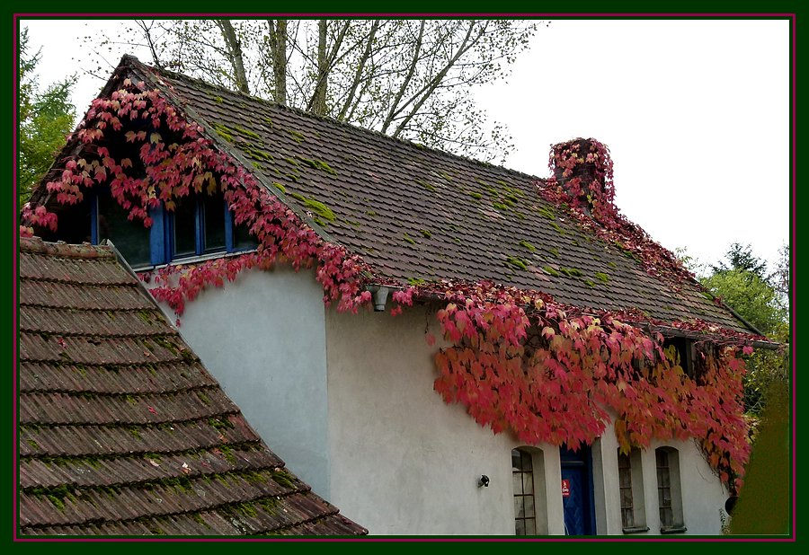 Herbstbild