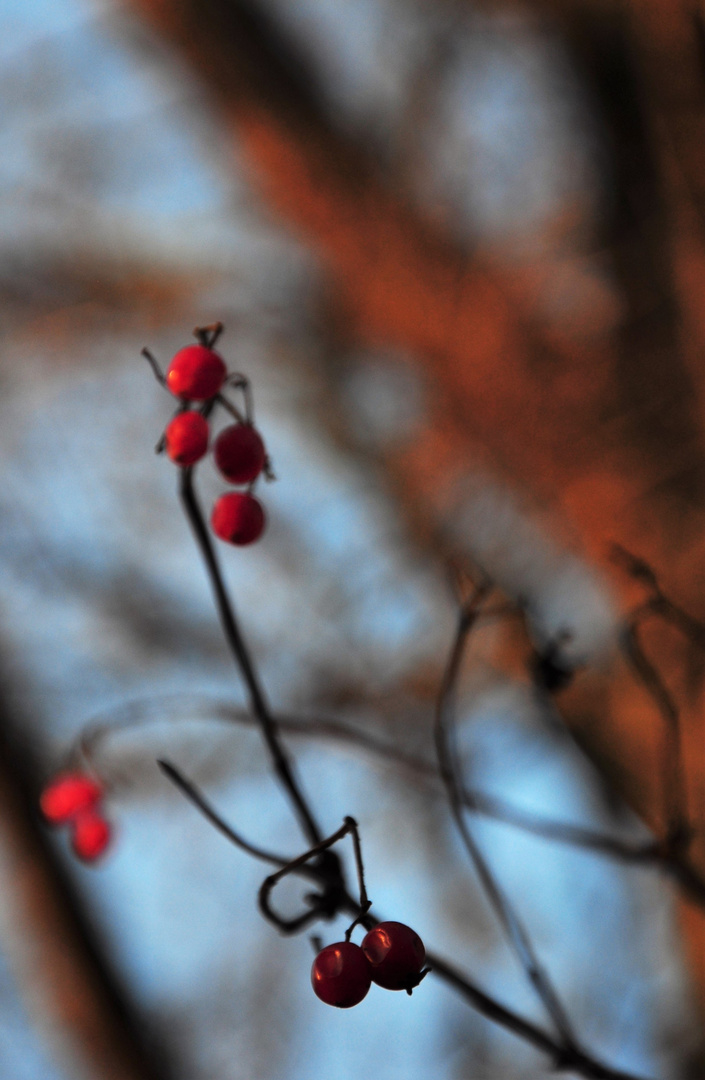 Herbstbild 4