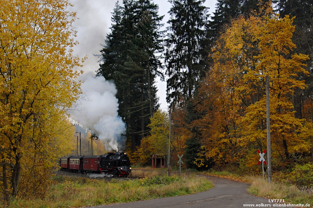 Herbstbild..