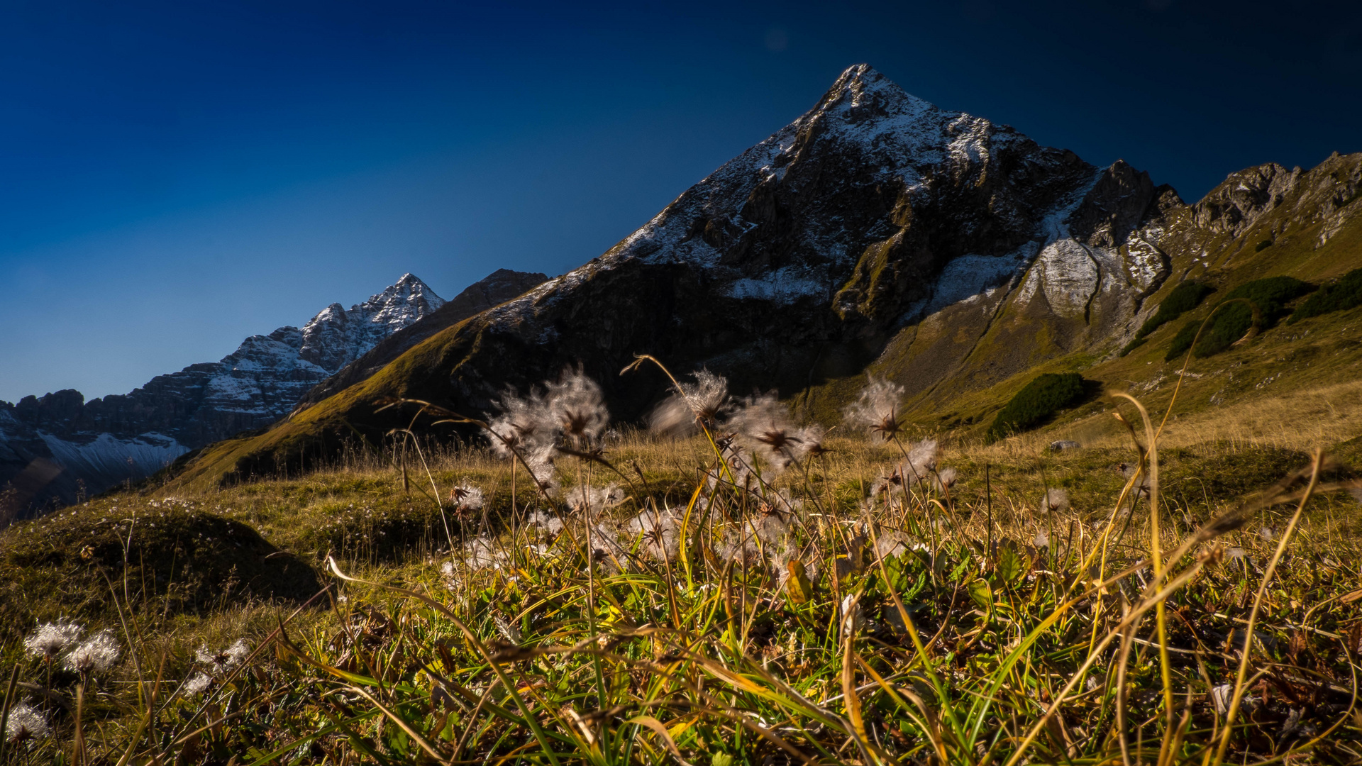 Herbstbild