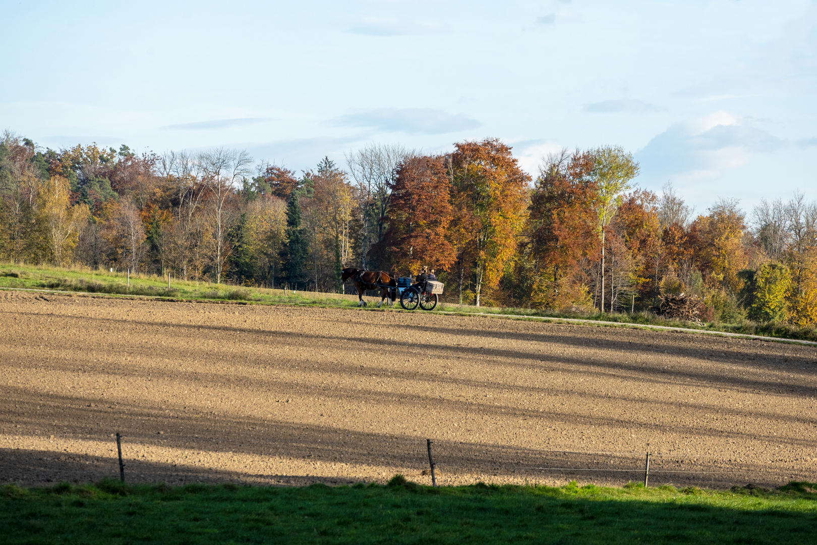 Herbstbild 5-21