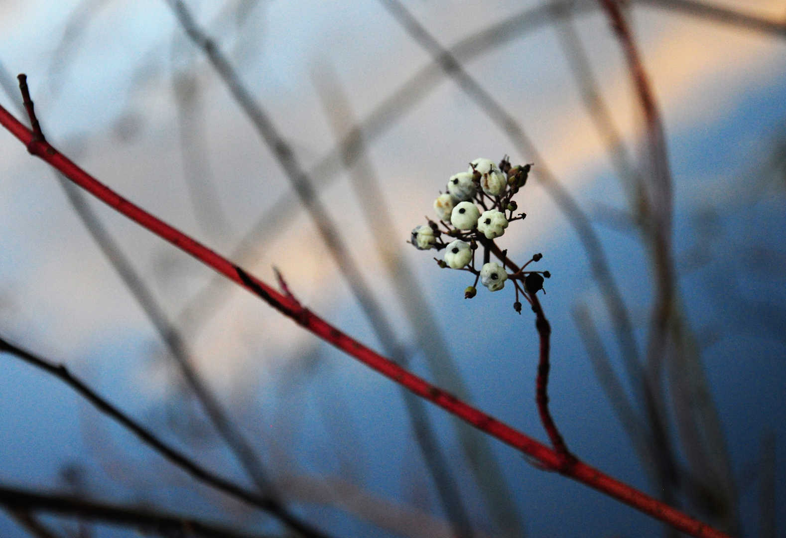 Herbstbild 5