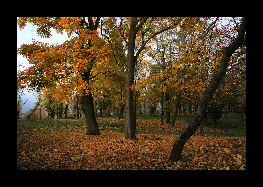 Herbstbild