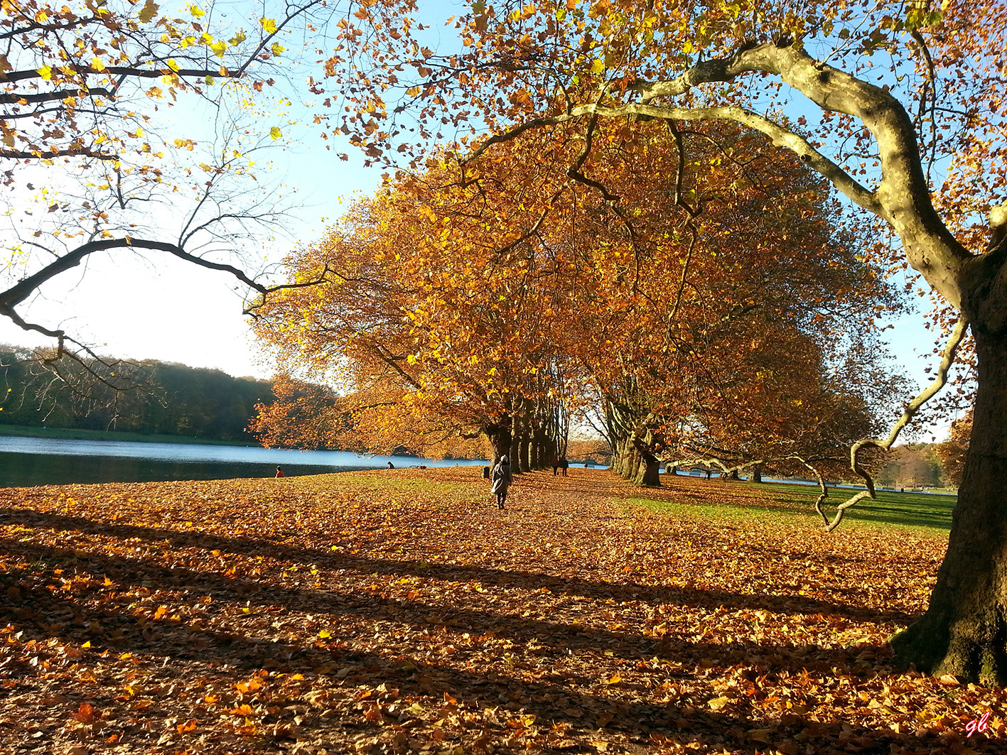 Herbstbild