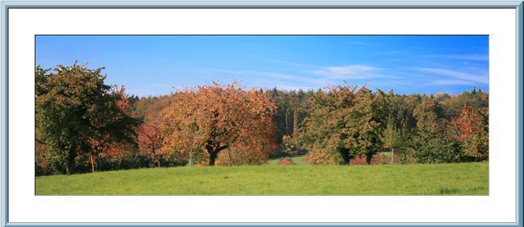 Herbstbild