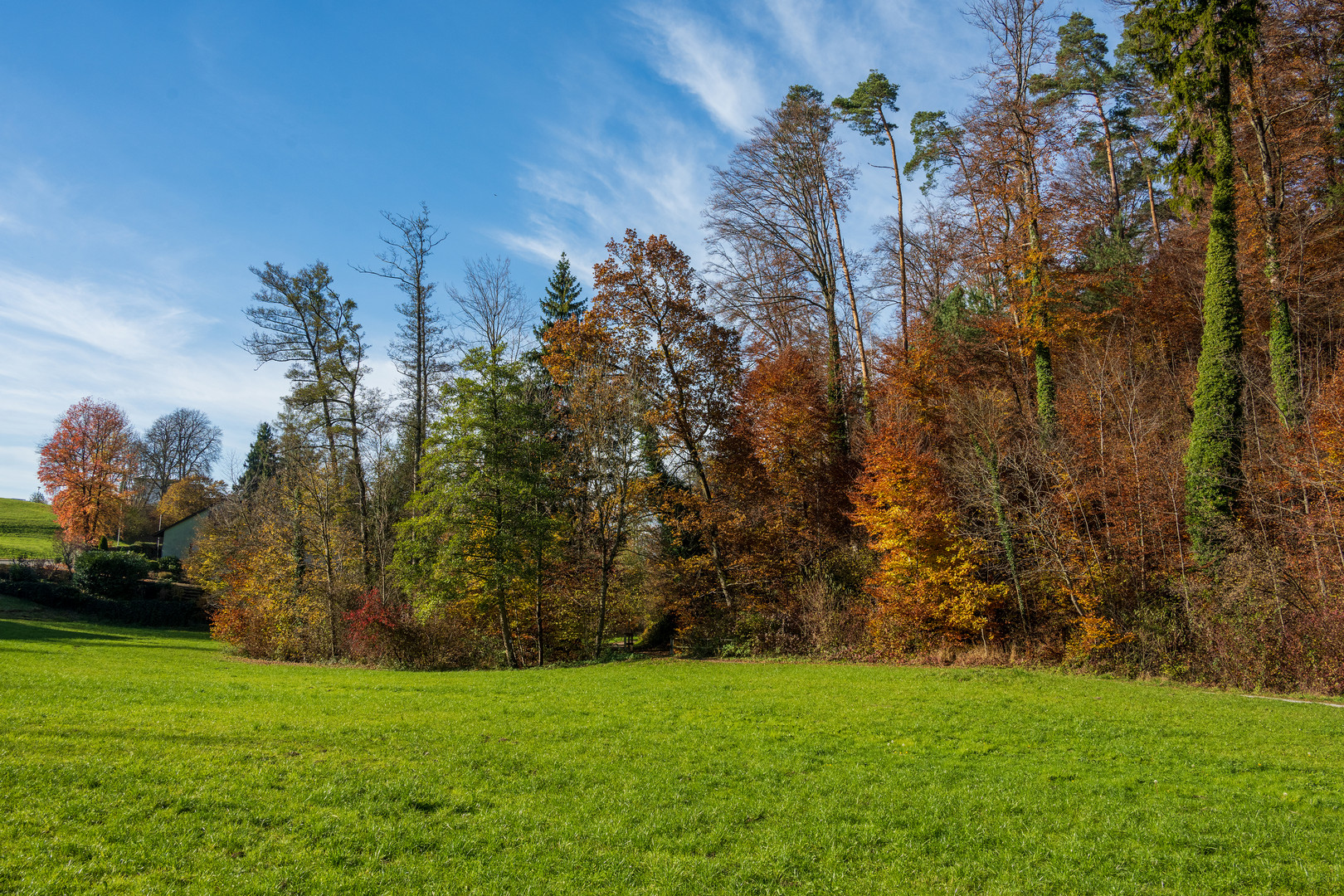 Herbstbild 6-21