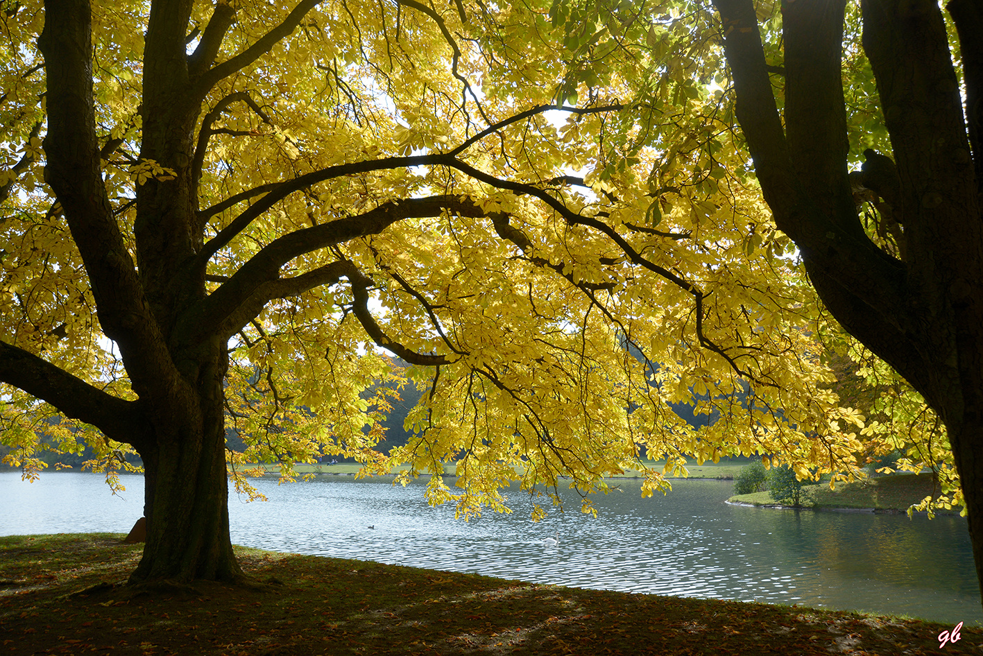 Herbstbild