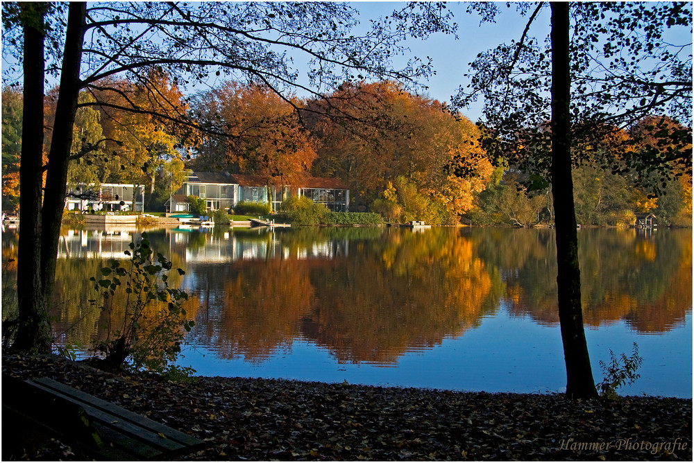 Herbstbild