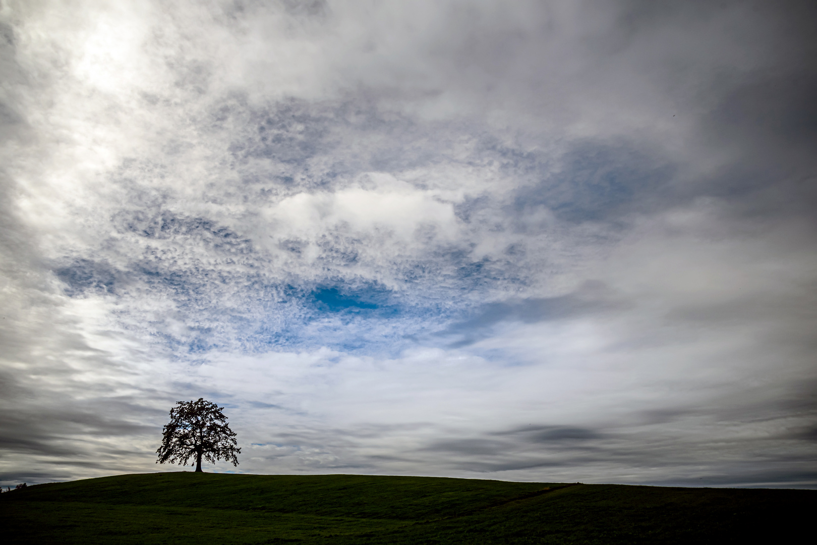 Herbstbild