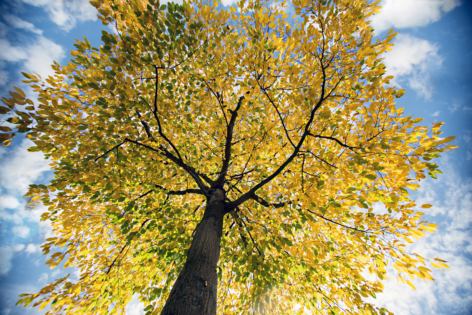 Herbstbild