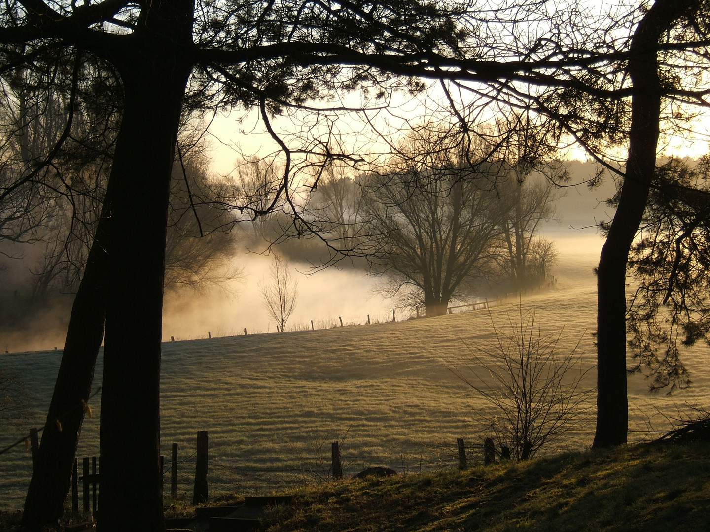 Herbstbild...