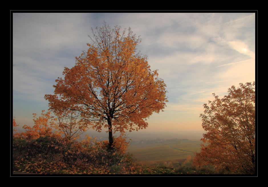 Herbstbild