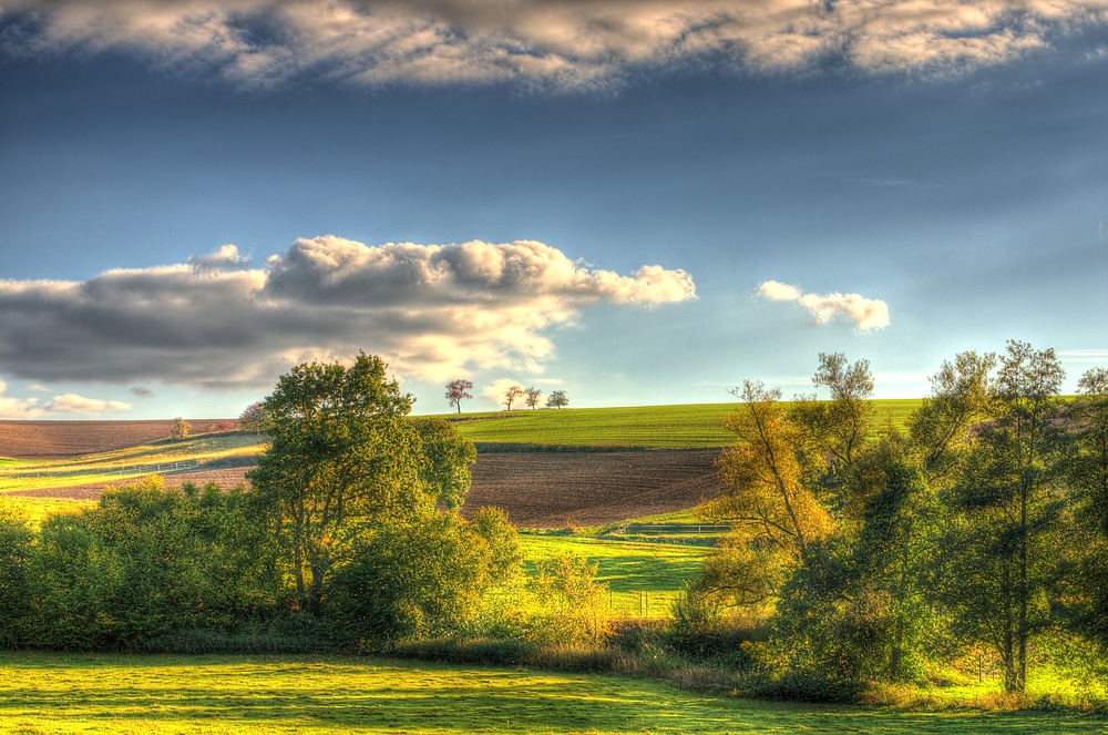 Herbstbild