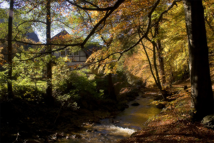 Herbstbild