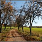 Herbstbild