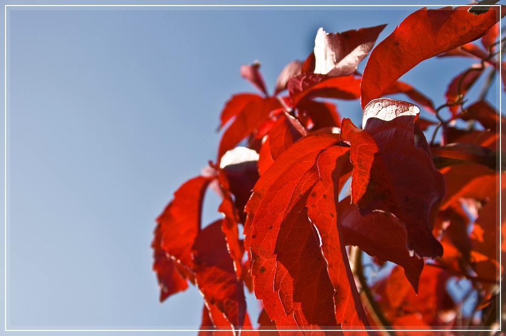 Herbstbild