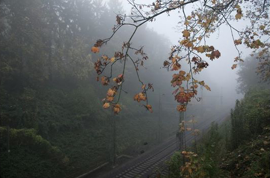 Herbstbild