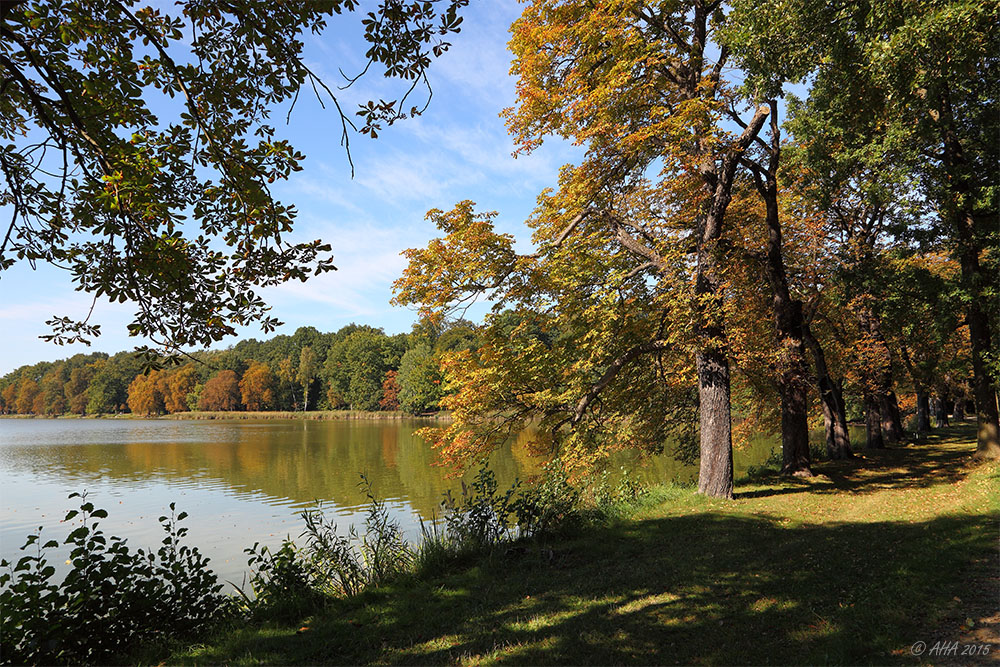 Herbstbild