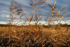 Herbstbild