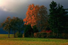 Herbstbild