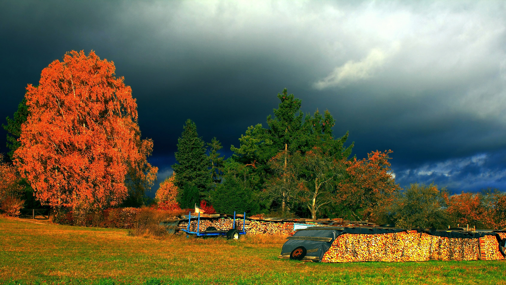 Herbstbild 