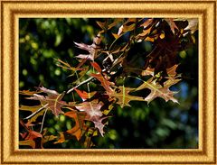 Herbstbild